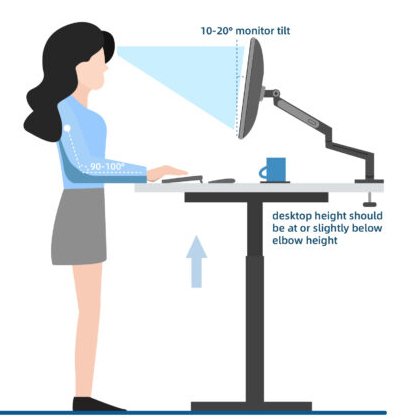 Can I use standing desk without monitor arm? - DewinErgo丨Manufacture ...